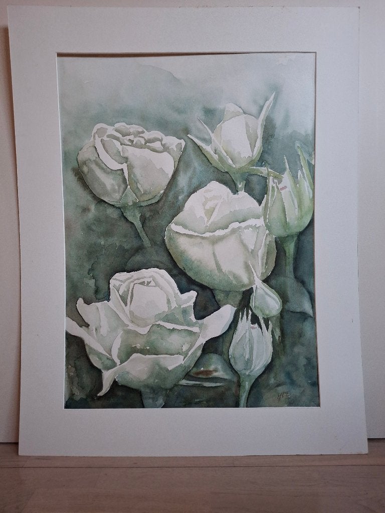 Aquarel witte rozen met passe-partout 90x70 cm, Ophalen