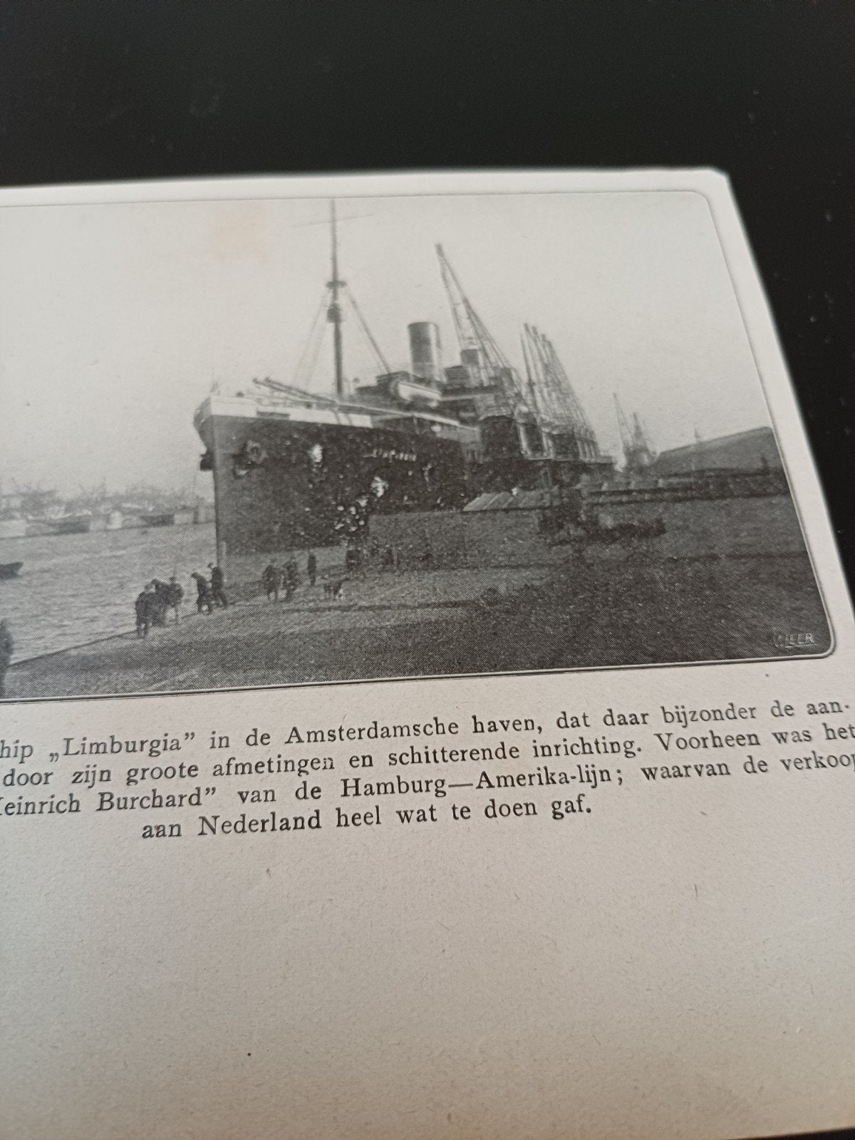 knipsel stoomschip Limburgia Amsterdam 1920, Ophalen of Verzenden, Gebruikt, Kaart, Foto of Prent