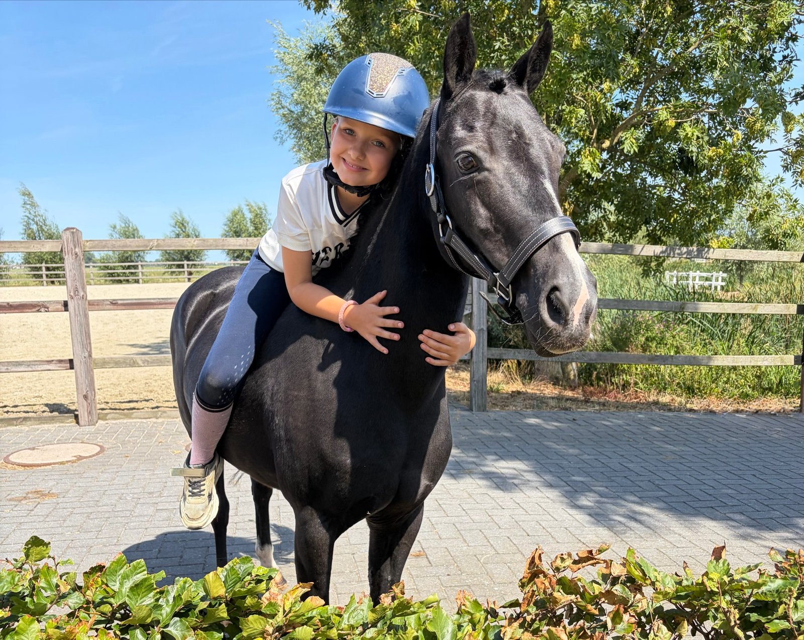 Zwarte kinderpony, Merrie, B pony (1.17m tot 1.27m), 11 jaar of ouder