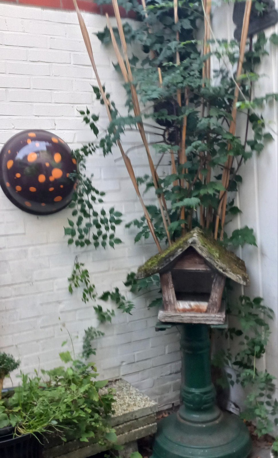 tuin ?, Ophalen of Verzenden, Gebruikt, Overige typen