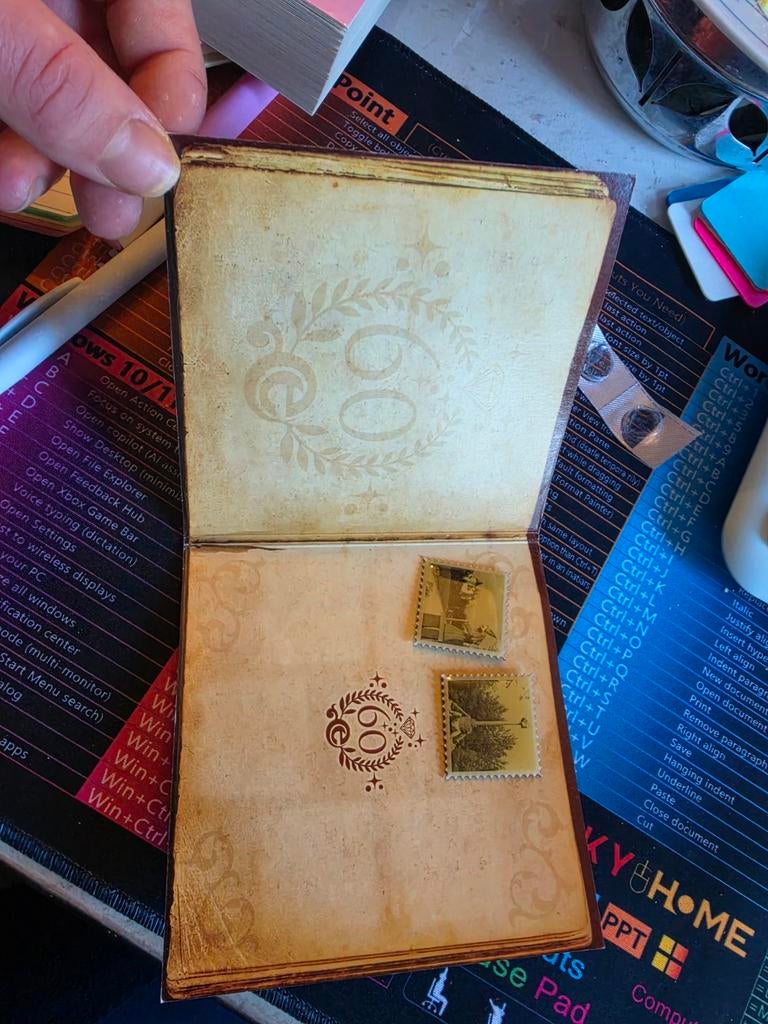 Efteling 60 Jaar Jubileum Spelden Album met Pins, Verzamelen, Efteling, Verzenden, Zo goed als nieuw, Button of Speldje