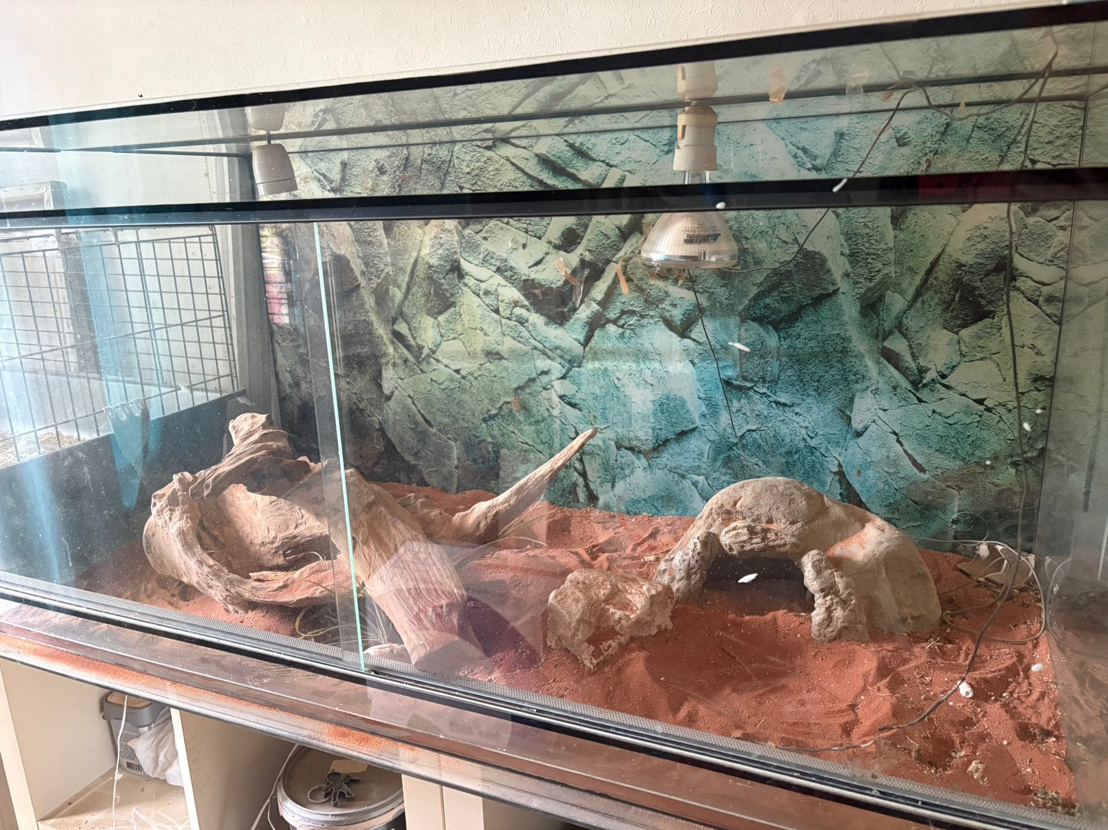 Terrarium, Dieren en Toebehoren, Reptielen en Amfibieën | Toebehoren, Ophalen, Gebruikt