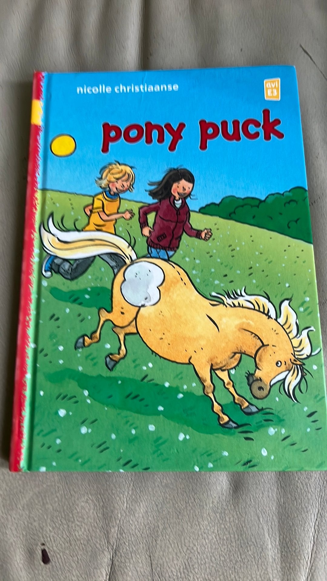Pony Puck AVI E3, Ophalen of Verzenden, Zo goed als nieuw
