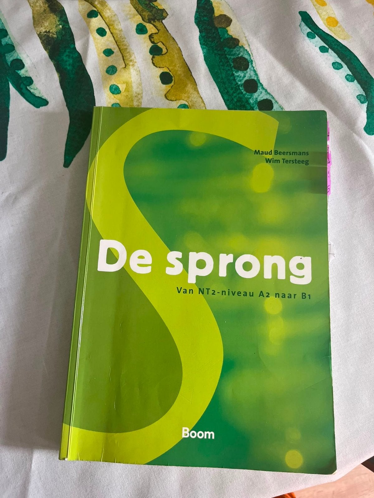 De Sprong NT2-niveau A2 naar B1 - Nederlands boek, Boeken, Ophalen, Alpha, Gelezen, Overige niveaus