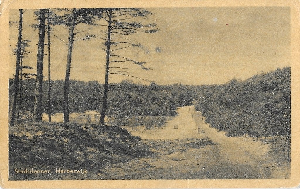 AK Harderwijk - Stadsdennen, Verzamelen, Ansichtkaarten | Nederland, Verzenden, 1940 tot 1960, Gelopen, Gelderland