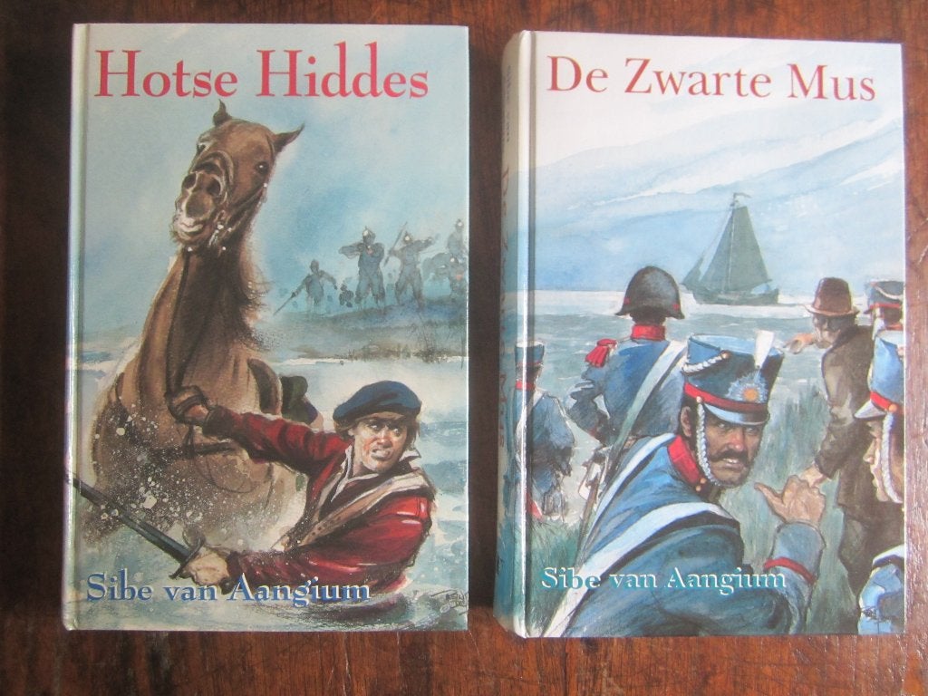 Sibe van Aangium De Zwarte Mus trilogie/Hotse Hiddes, Boeken, Ophalen of Verzenden, Zo goed als nieuw