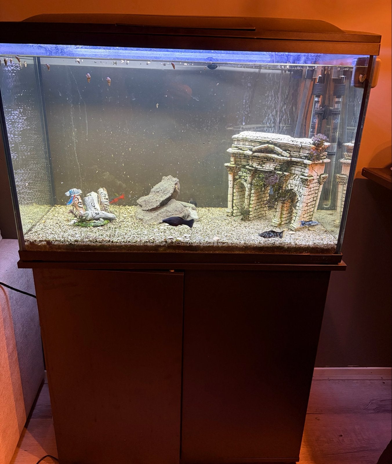 Aquarium met meubel, Ophalen