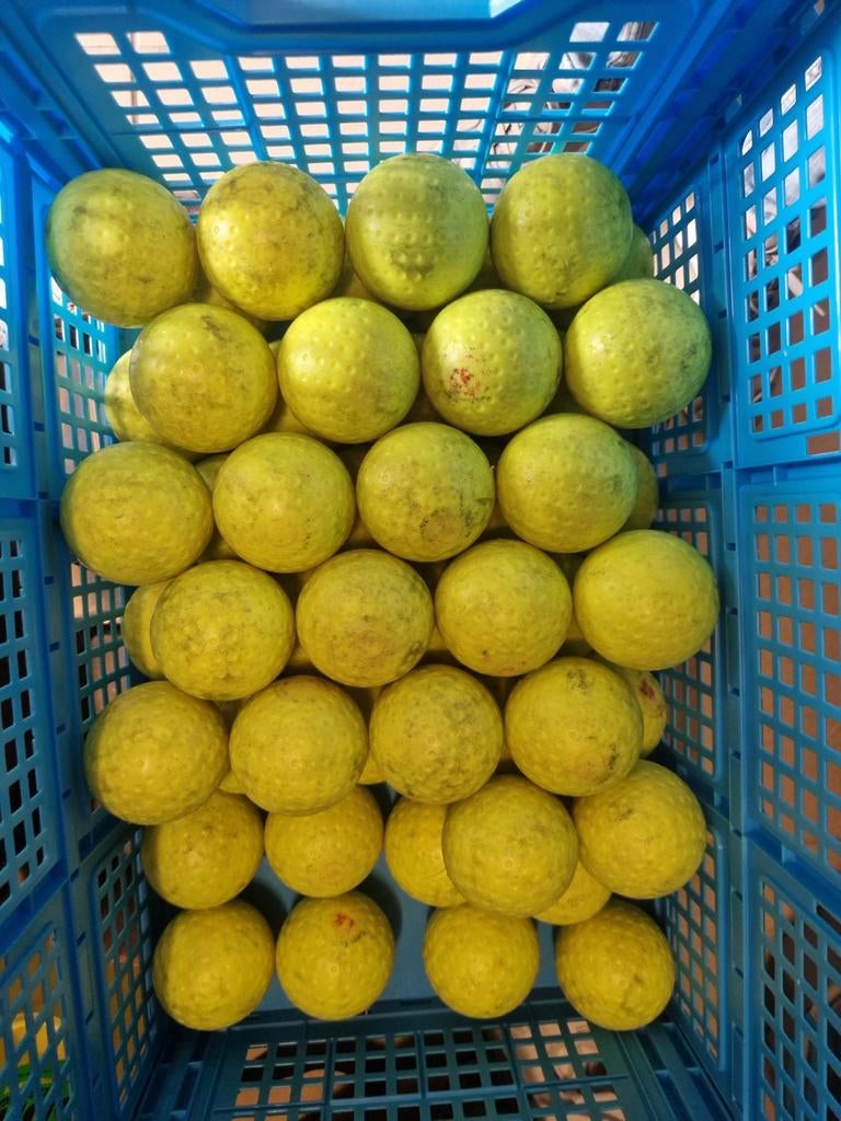 50 brabo chingford platinum hockeyballen, Ophalen of Verzenden, Gebruikt, Bal