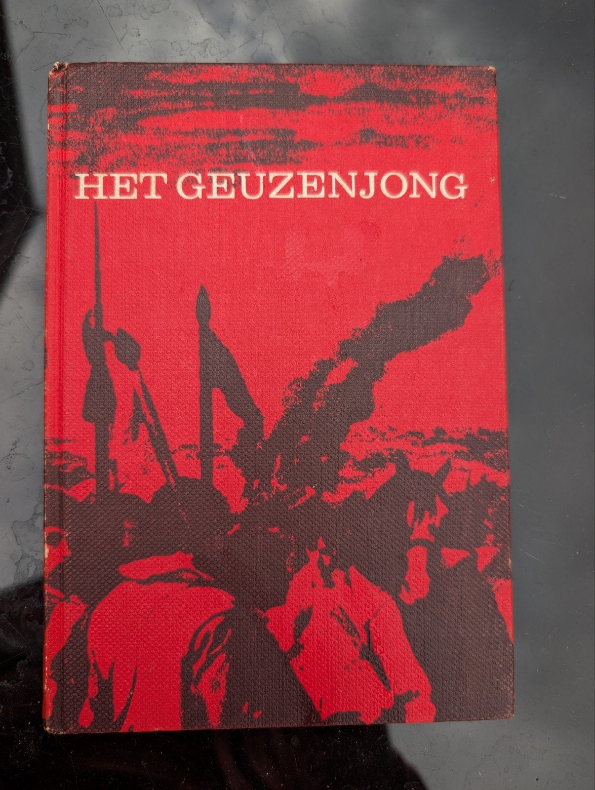 Het Geuzenjong, Ophalen of Verzenden, Gelezen, Overige onderwerpen, W. Schippers