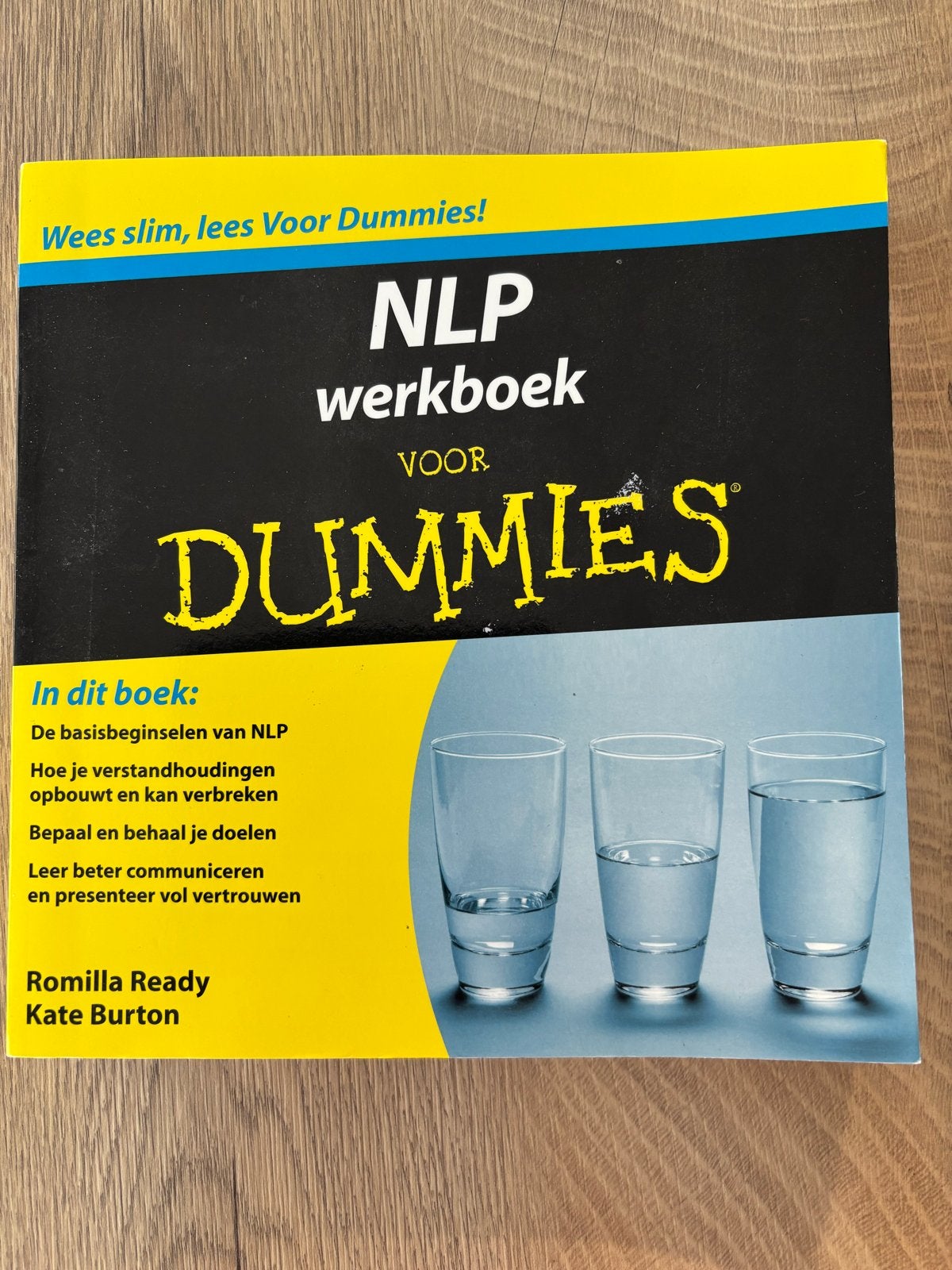 NLP Werkboek voor Dummies & De Bijzondere Reis van een Prikk, Boeken, Ophalen of Verzenden, Zo goed als nieuw