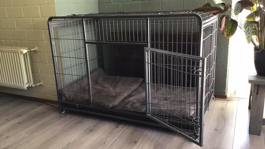 Heavy Duty Robuuste Bench XXL, Ophalen, Zo goed als nieuw