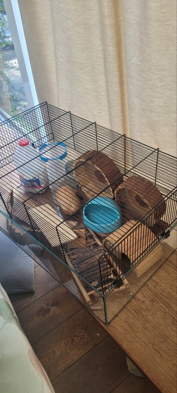 hamsterkooi met veel spullen!, Kooi, Minder dan 75 cm, Hamster, Ophalen