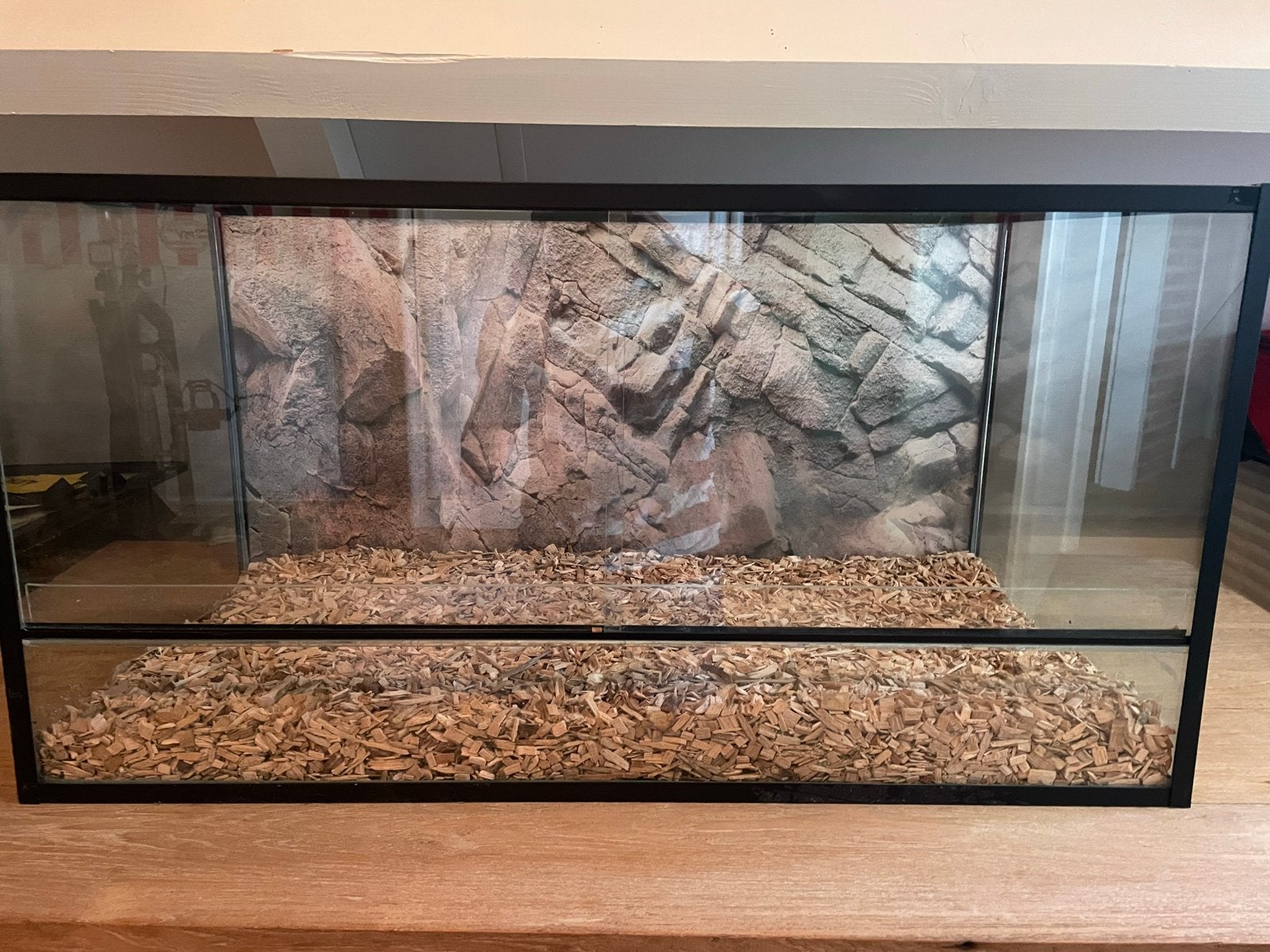 Terrarium, Dieren en Toebehoren, Ophalen, Zo goed als nieuw, Terrarium of Paludarium