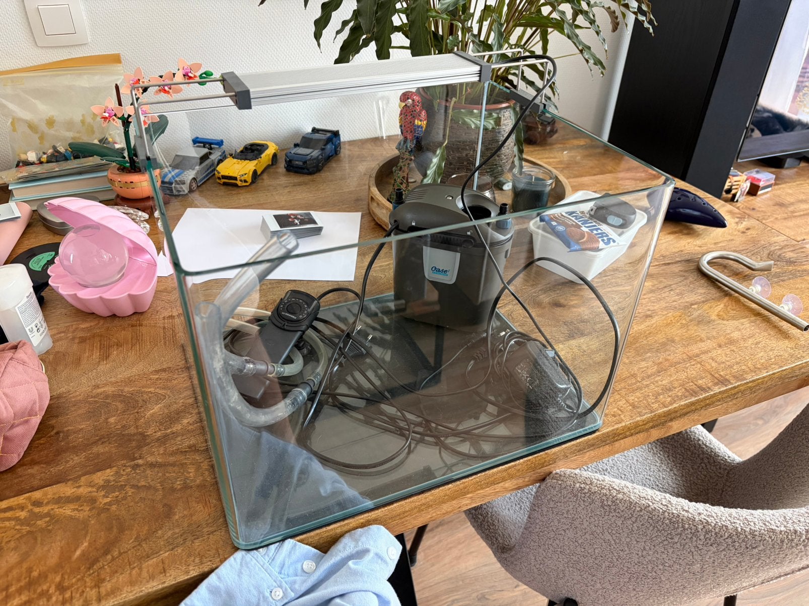 Dennerle Aquarium 35L met verwarming,lamp en filter, Ophalen, Verwarming, Gebruikt, Leeg aquarium