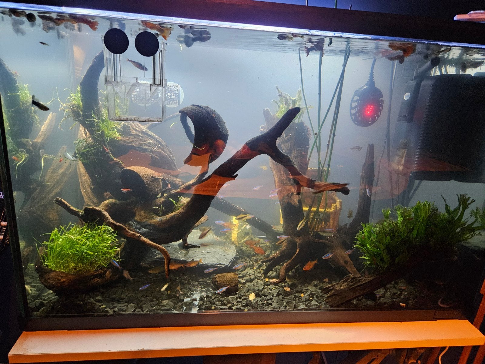 Nog als nieuw aquarium . Paar weken oud., Dieren en Toebehoren, Vissen | Aquaria en Toebehoren, Ophalen, Zo goed als nieuw, Gevuld zoetwateraquarium