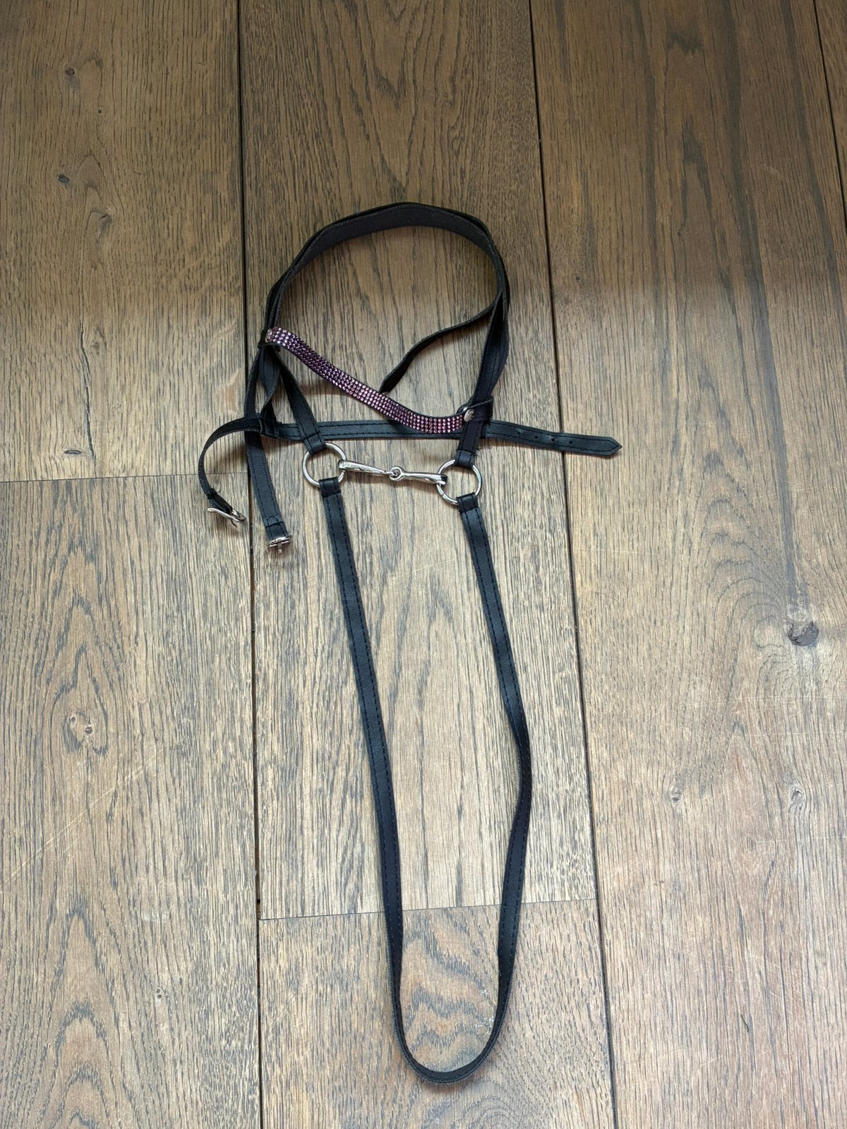 Hoofdstel voor hobby horse, Ophalen, Zo goed als nieuw, Hoofdstel