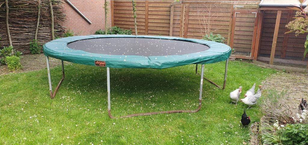 Grote ronde trampoline (3.65m) met beschermrand, Ophalen of Verzenden, Gebruikt