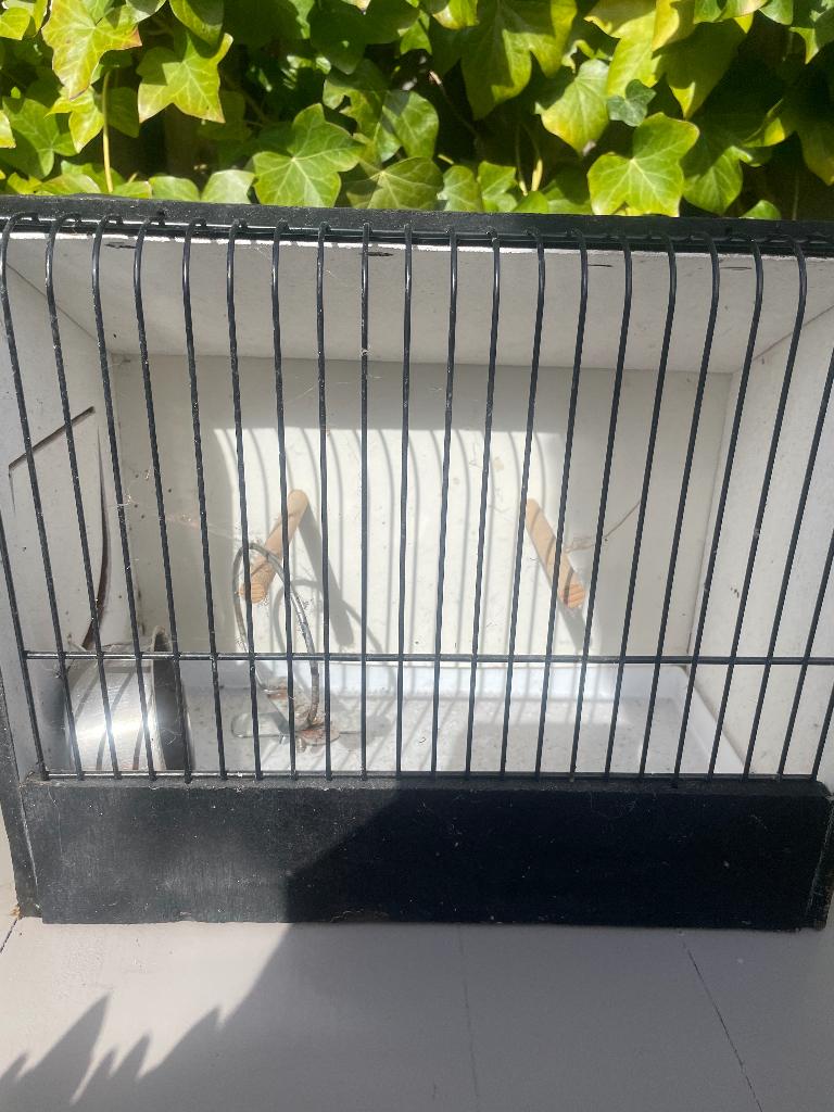 Tentoonstellingskooitje, Ophalen of Verzenden, Zo goed als nieuw, Hout, Vogelkooi