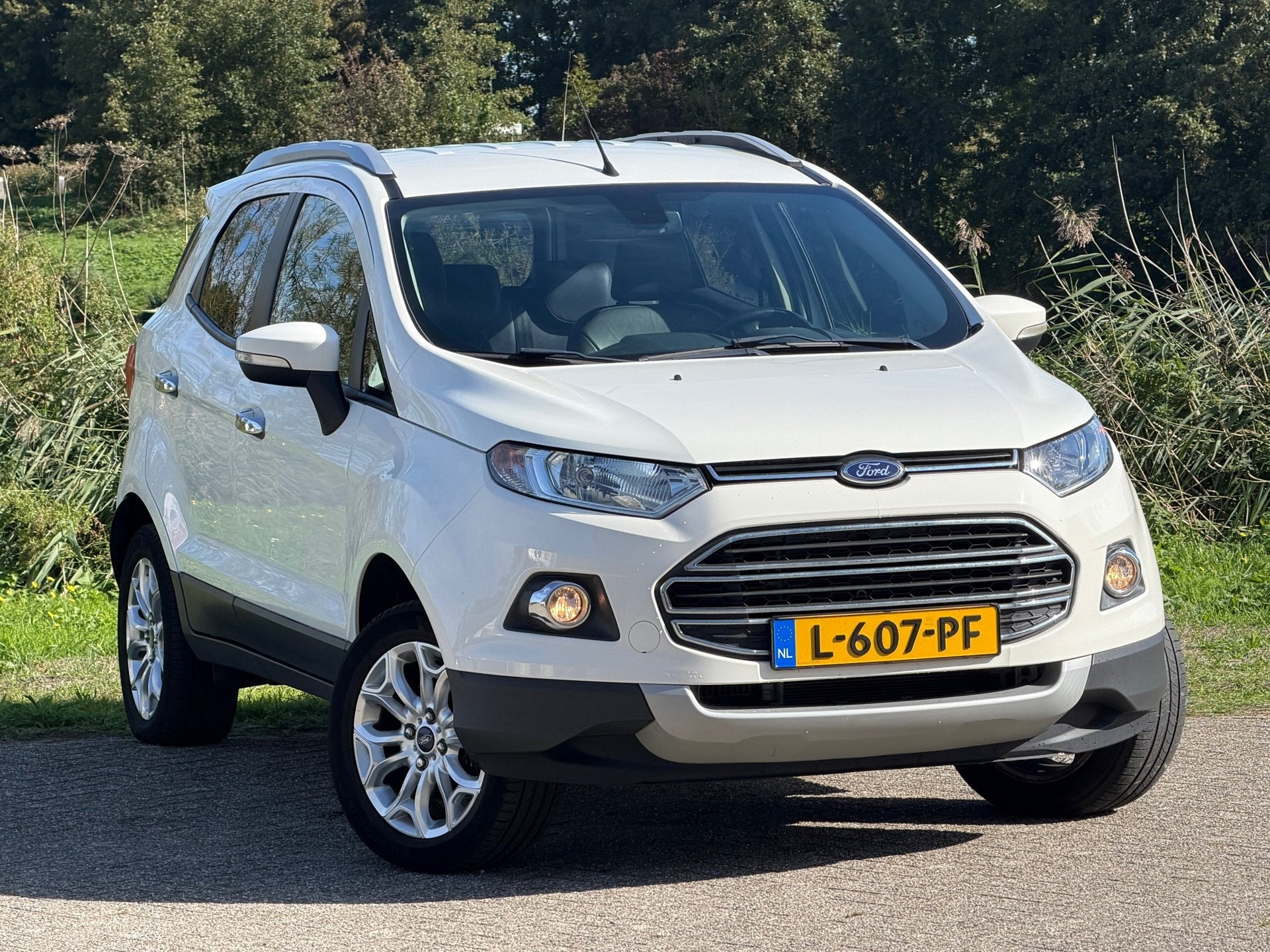 Ford EcoSport 1.0 EcoBoost Titanium- Diamond White - Hoge In, Auto's, Voorwielaandrijving, 125 pk, Gebruikt, Ecosport