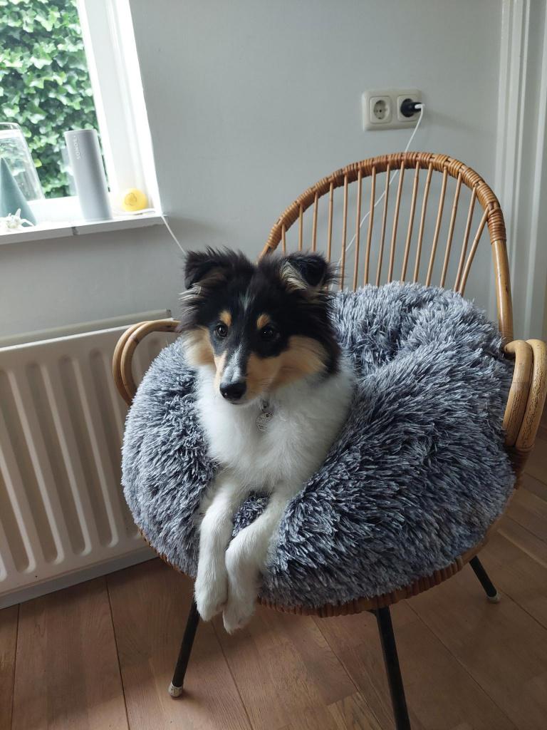 Adori Honden-/Kattenmand – Bangalor – Grijs/Zwart Gemeleerd, Ophalen of Verzenden, Zo goed als nieuw, Pluche