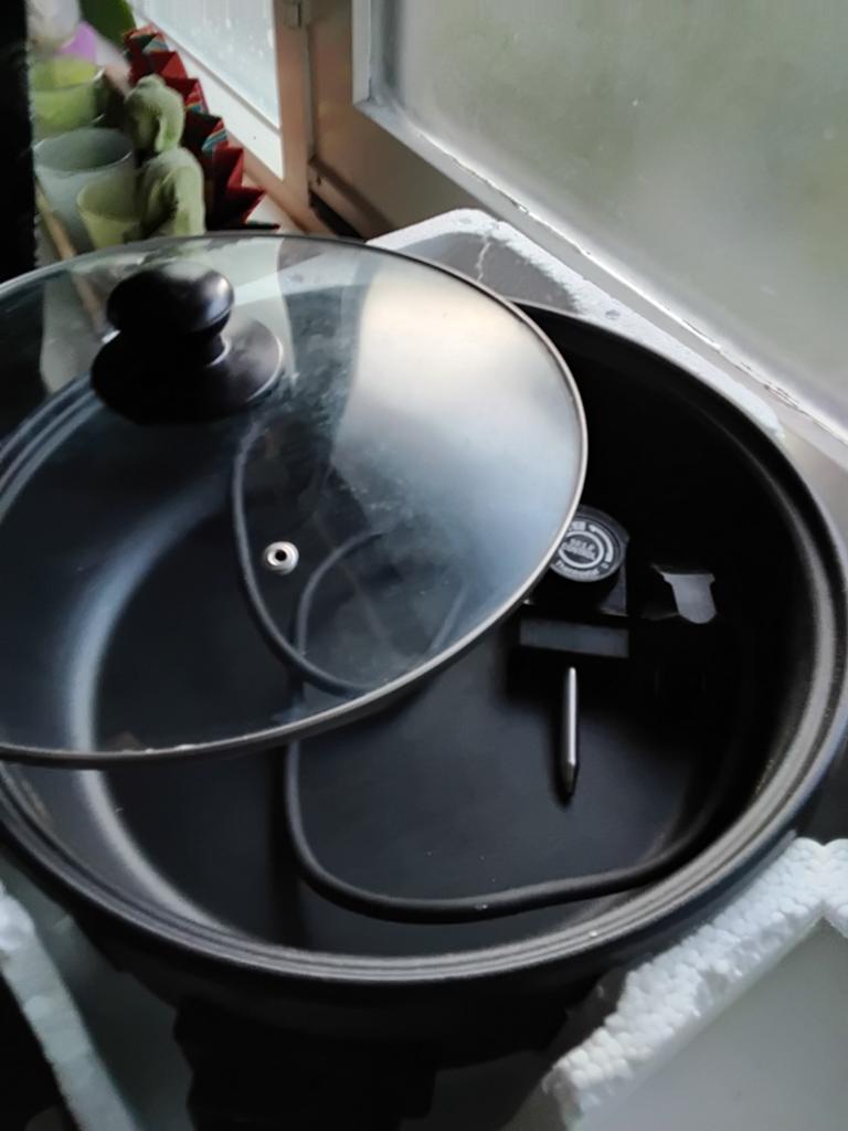 Elektrische pan met deksel - Ideaal voor braden en koken, Witgoed en Apparatuur, Onderdelen en Toebehoren, Ophalen of Verzenden
