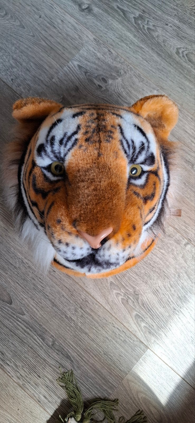 Tijger en Leeuw poster en tijgerkop, Ophalen of Verzenden, 75 cm of meer, 50 tot 75 cm, Print