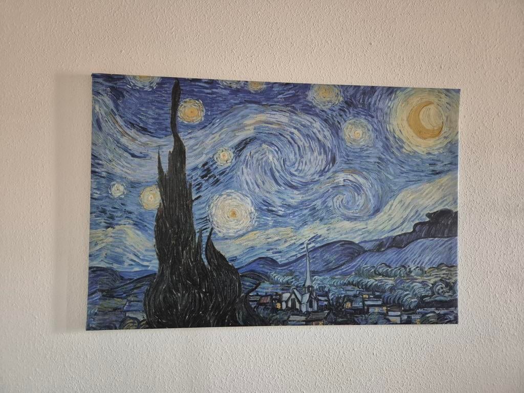 IKEA PJÄTTERYD Sterrennacht juni 1889, 118x78 cm, Ophalen