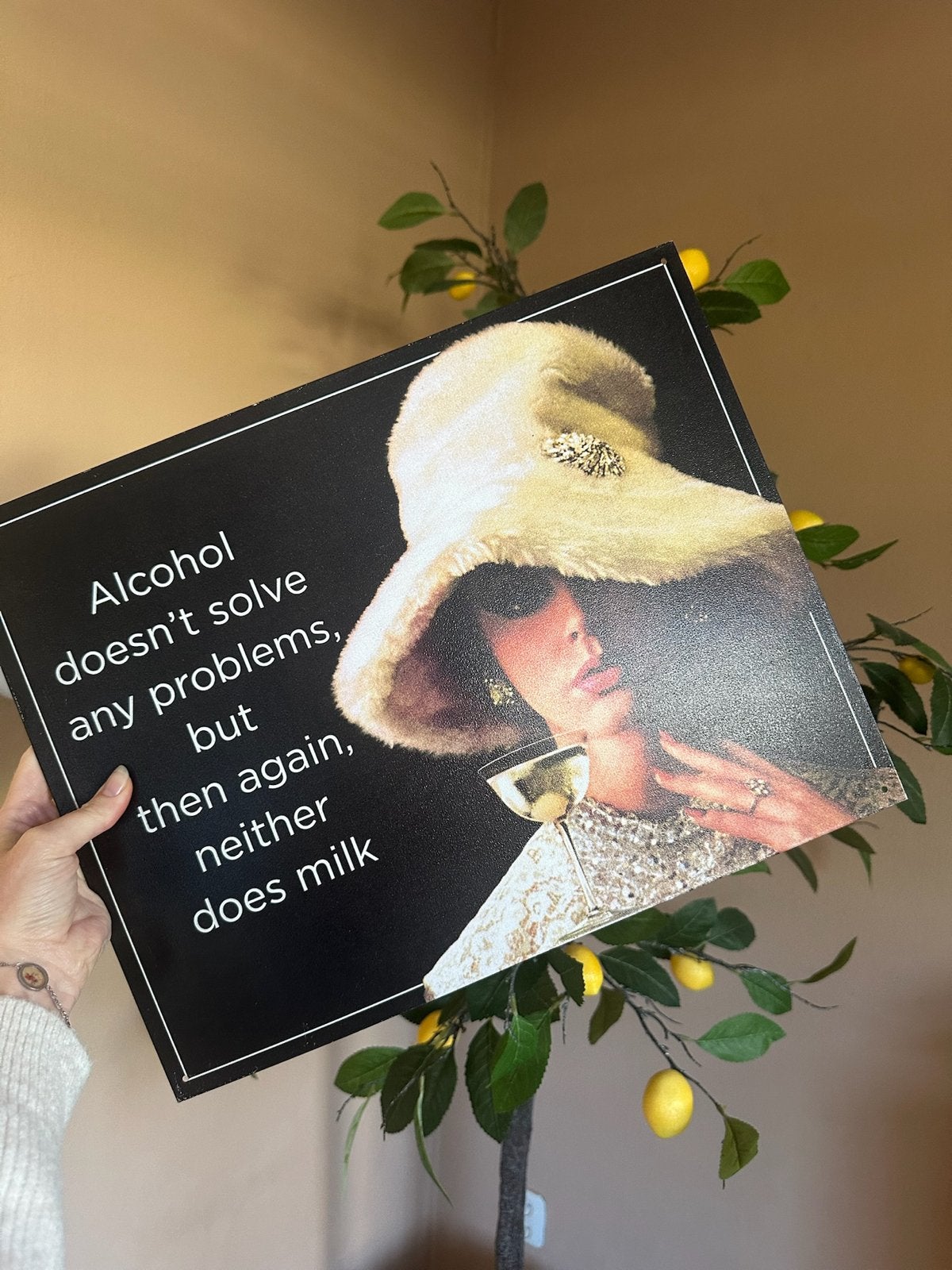Vintage metalen wandbord: 'Alcohol doesn't solve any problem, Metaal, Gebruikt, Zwart, Vintage