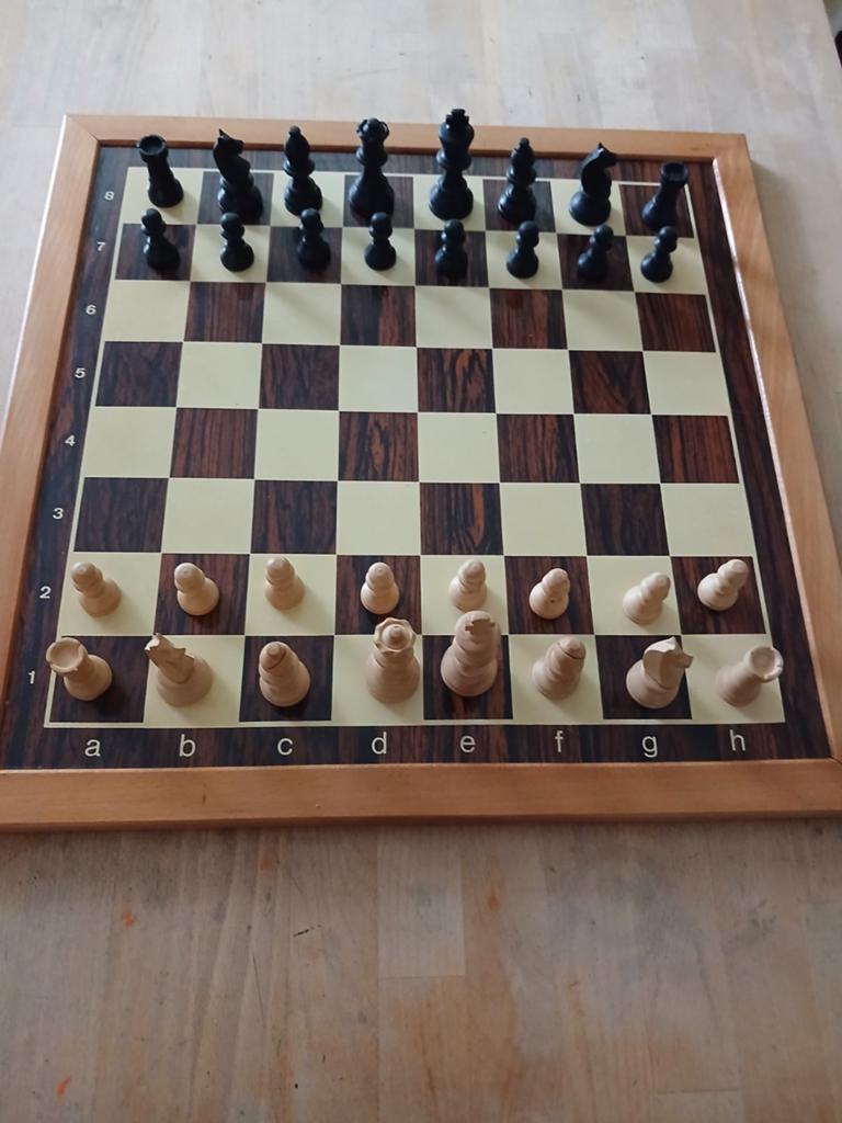 Schaak/ dambord met schaakstukken, Ophalen of Verzenden