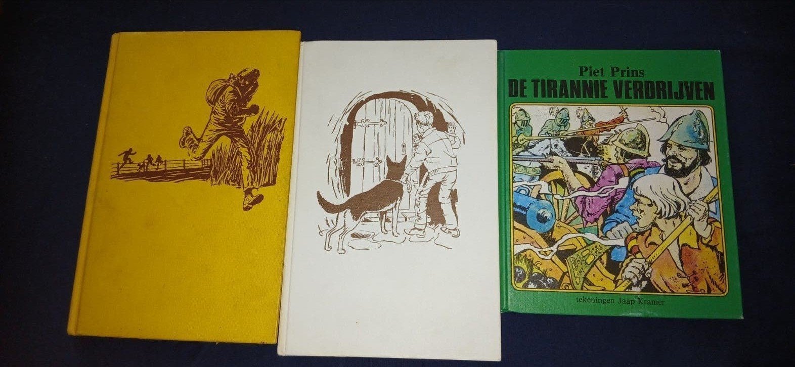 Piet Prins boeken, Ophalen of Verzenden, Gelezen