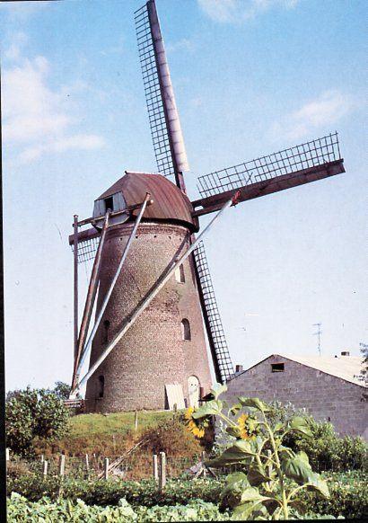 (BG083) Ansichtkaart België molen Kinrooi Lemmensmolen 2000, Ophalen of Verzenden, 1980 tot heden, Ongelopen, Limburg