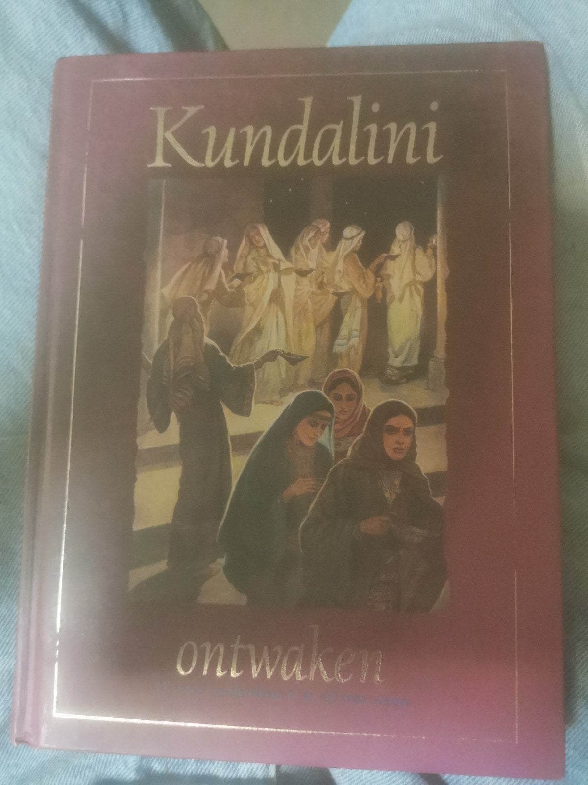 Kundalini Ontwaken - Boek over spiritualiteit, Ophalen of Verzenden, Gelezen, Spiritualiteit algemeen, Achtergrond en Informatie