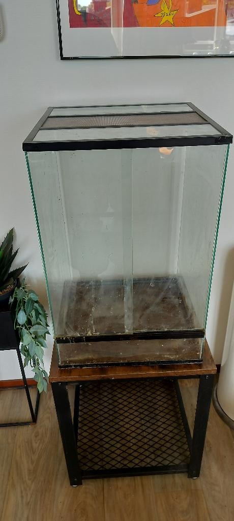 Wimpergekko terrarium, Dieren en Toebehoren, Ophalen, Zo goed als nieuw, Terrarium of Paludarium