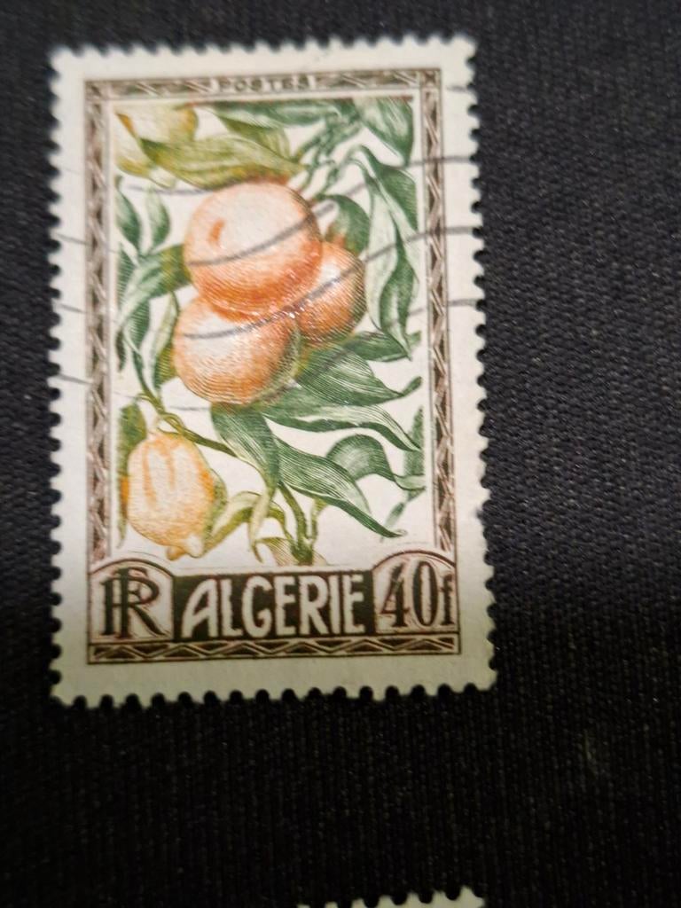 Algerije, Ophalen of Verzenden, Overige landen, Gestempeld