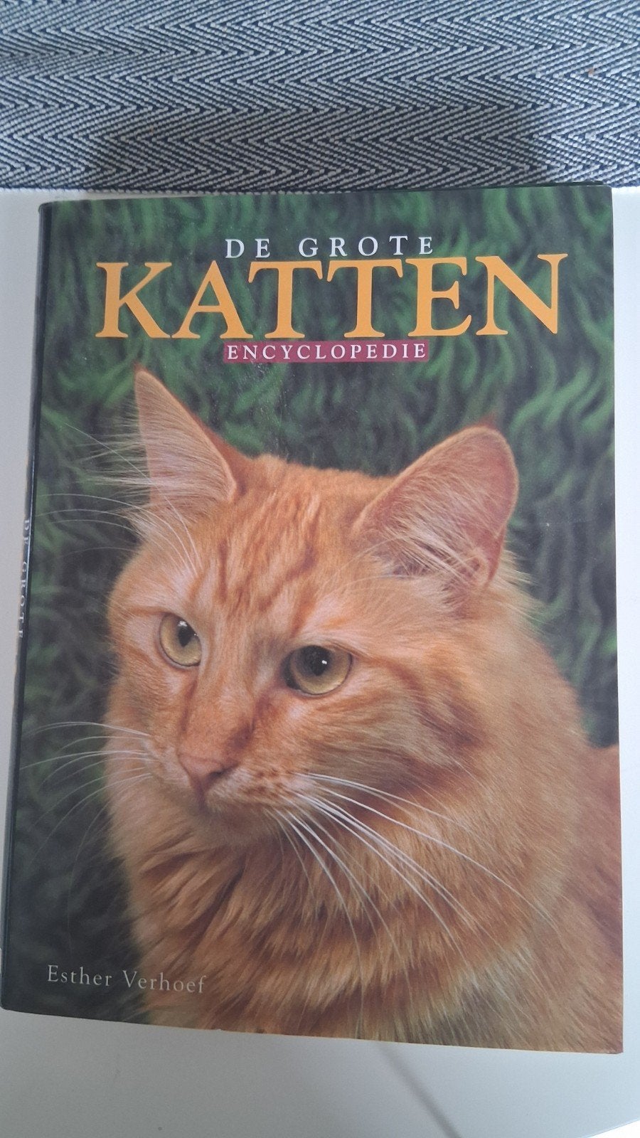 De Grote Katten Encyclopedie - Esther Verhoef (2005), Nieuw, Ophalen of Verzenden, Los deel, Dieren