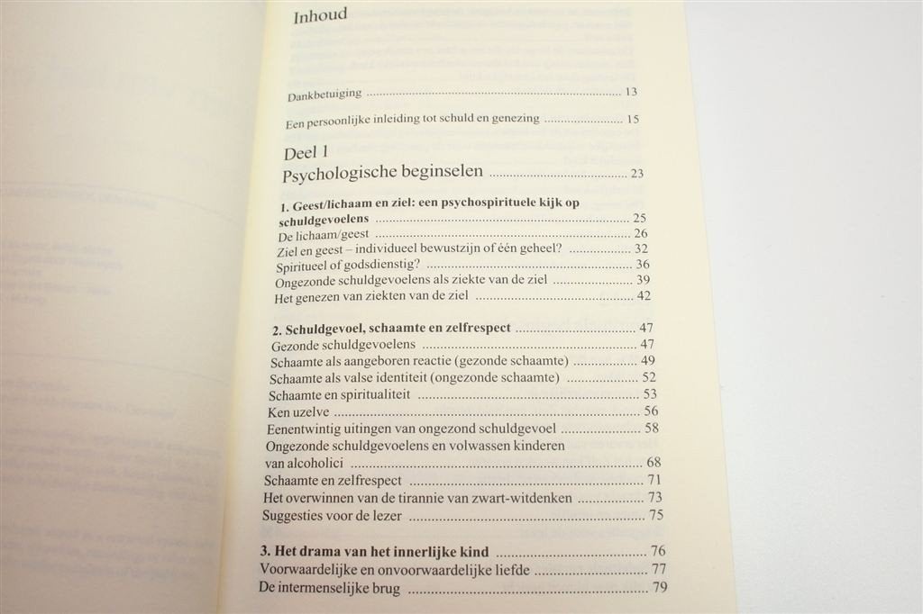Helen van Hart en Ziel — Schuld als Leraar, Liefde als Les, Boeken, Ophalen of Verzenden, Gelezen, Overige onderwerpen, Achtergrond en Informatie