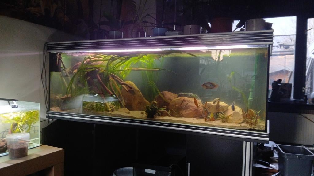 Aqua atlantis aquarium 1.8 meter, Ophalen of Verzenden, Zo goed als nieuw, Leeg aquarium