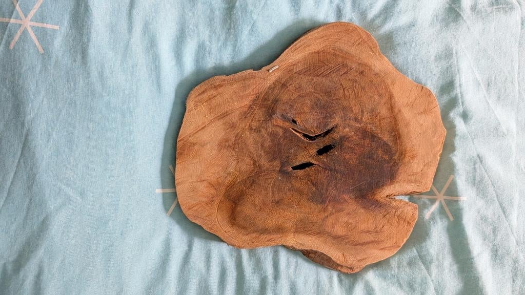 Houten plank van boomstam, Hout, Gebruikt, Ophalen of Verzenden, Landelijk