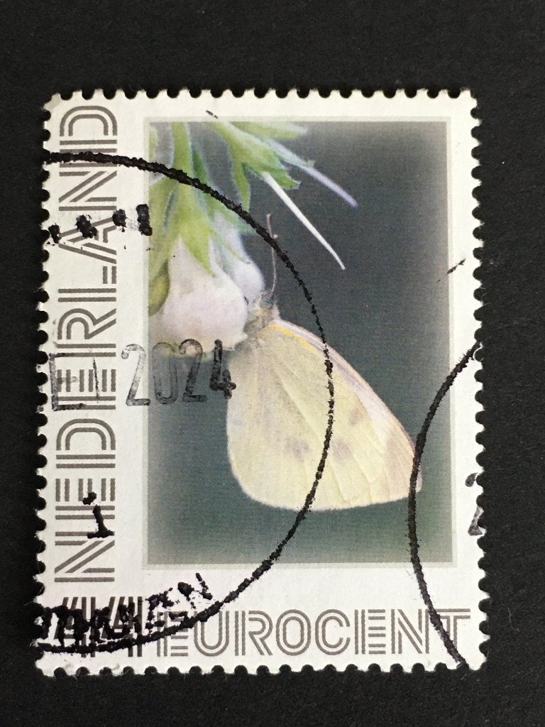 2749 Persoonlijke - Witte vlinder - gestempeld, Postzegels en Munten, Ophalen of Verzenden, Na 1940, Gestempeld