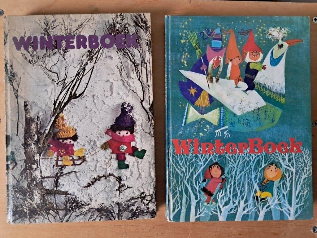 Originele Winterboeken (1972/1973), Non-fictie, Ophalen of Verzenden, Onbekend, Gelezen