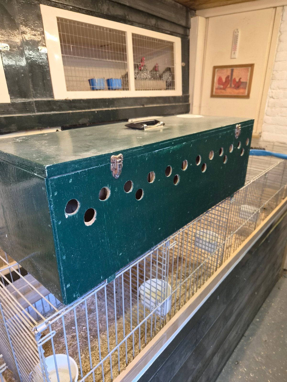 verzendkist 6 delig, Meerdere dieren, Overige soorten