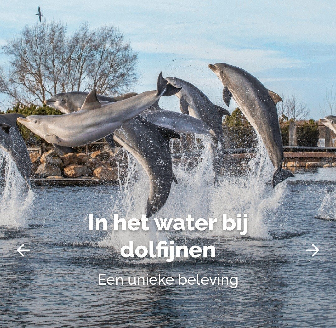 Dolfinarium tickets, Tickets en Kaartjes, Twee personen, Ticket of Toegangskaart