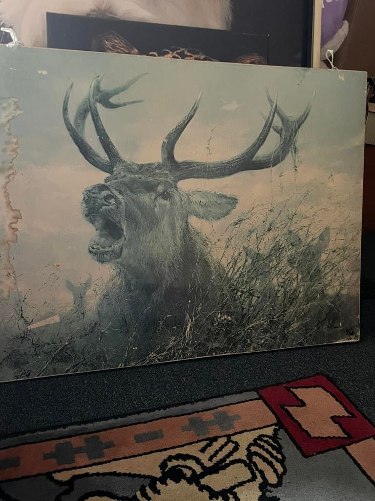 zoek naar deze prent  Burlend Hert van Rien Poortvliet, Antiek en Kunst, Kunst | Schilderijen | Klassiek, Ophalen of Verzenden