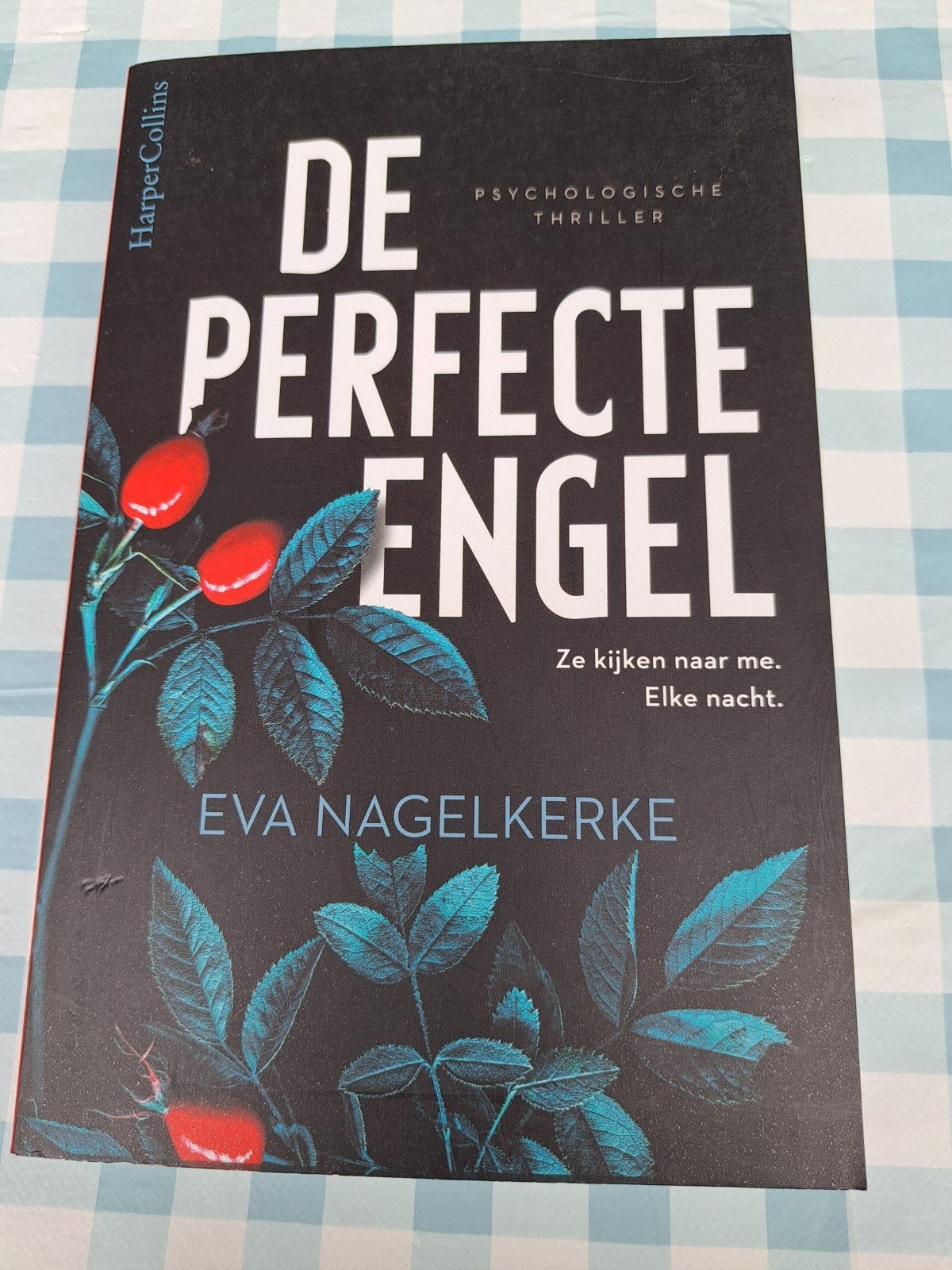 B3 De Perfecte Engel - Psychologische thriller Eva Nagelkerk, Ophalen of Verzenden, Zo goed als nieuw, Eva Nagelkerke, Nederland