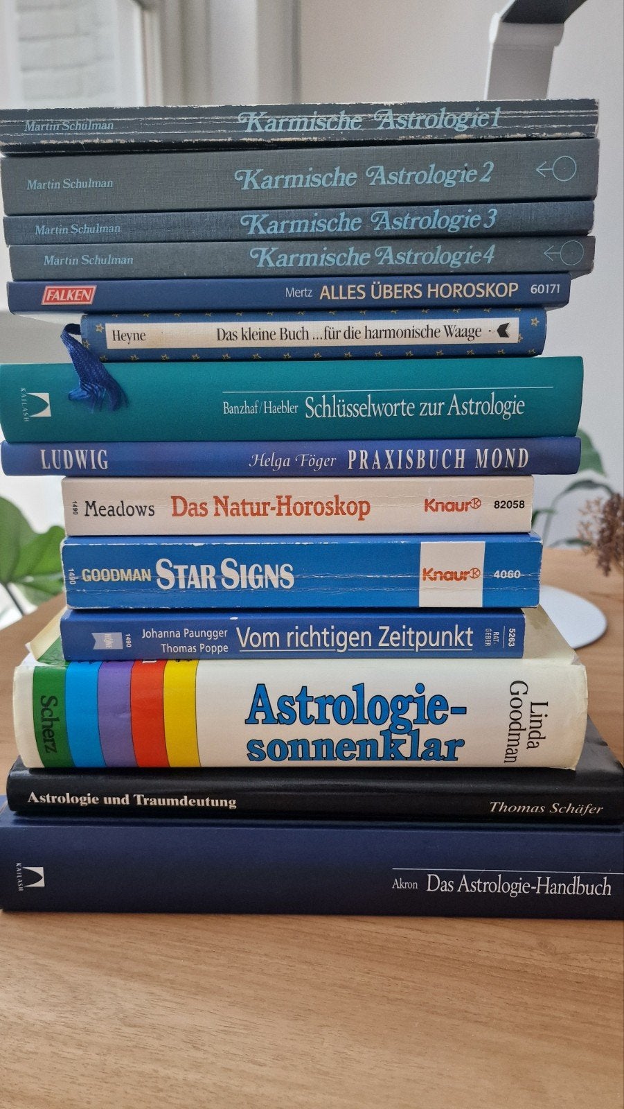 Astrologie, Horoskop, Mond, Karma, Boeken, Achtergrond en Informatie, Astrologie, Ophalen of Verzenden, Zo goed als nieuw