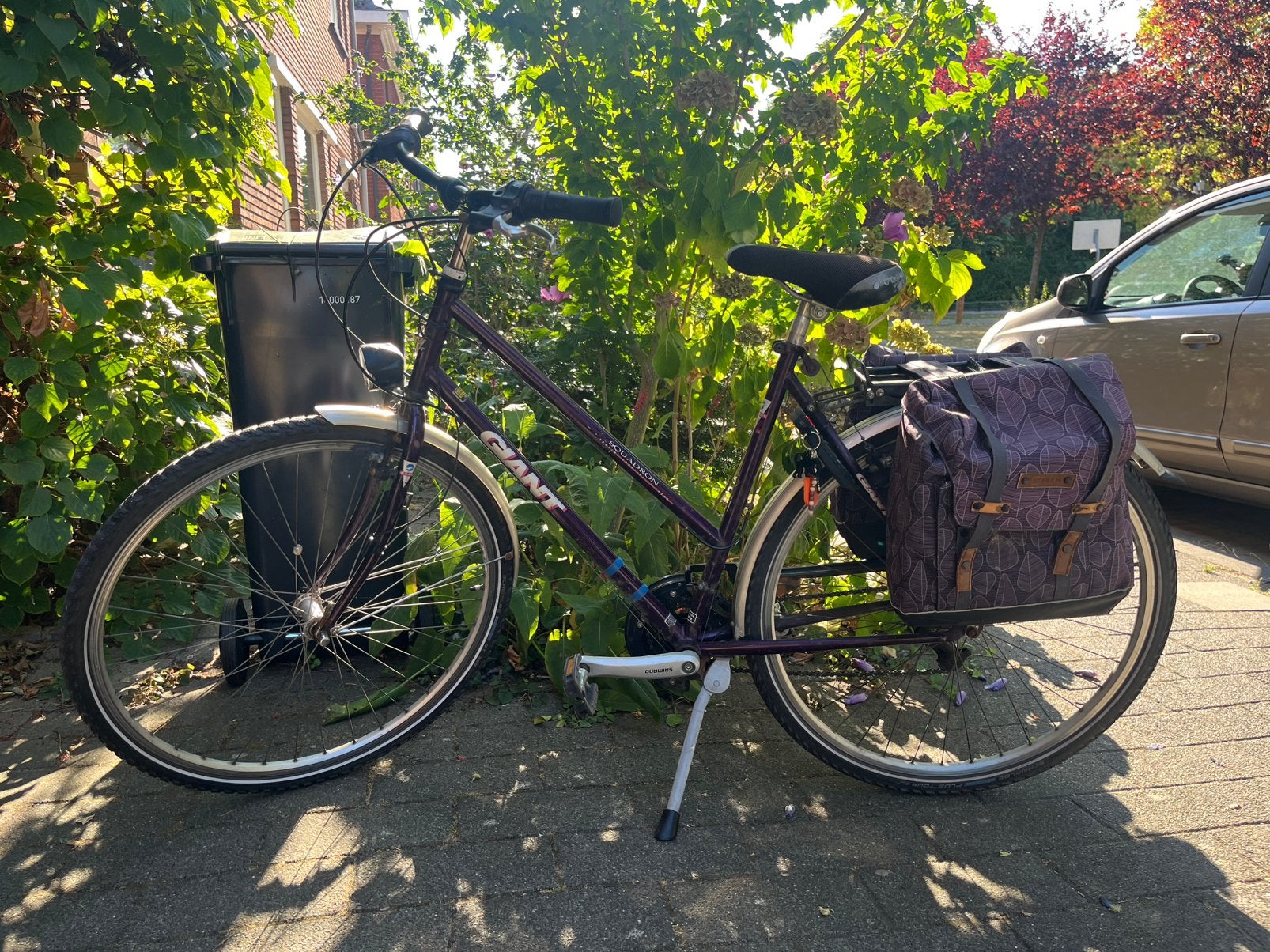 Giant damesfiets, Fietsen en Brommers, Fietsen | Dames | Omafietsen, Ophalen, Gebruikt