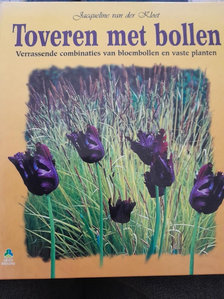Toveren met bollen - Jacqueline van der Kloet, Ophalen of Verzenden