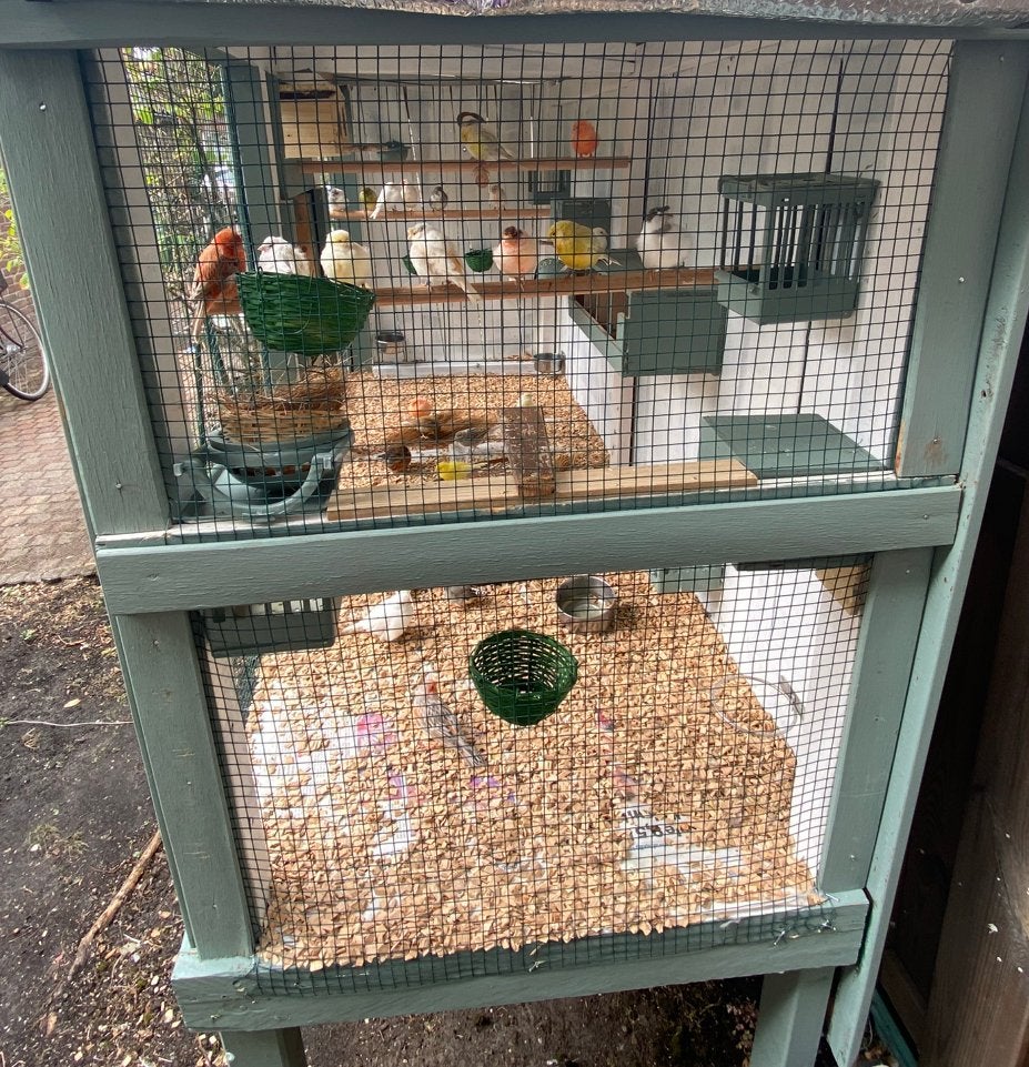 Vogel gratis ruimte, Ophalen of Verzenden, Zo goed als nieuw, Hout, Vogelkooi