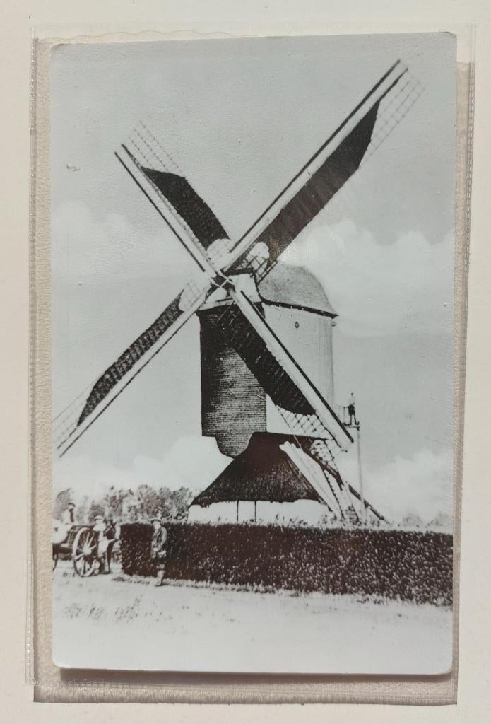 Molen Sint Petrus op Rosveld, Ophalen of Verzenden, Voor 1920, Ongelopen, Limburg