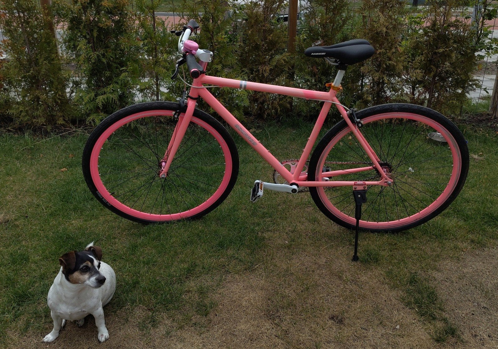 neon roze Edwards fixed gear racefiets, Overige merken, Minder dan 10 versnellingen, Gebruikt, Velgrem